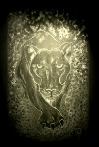  by RosaLi