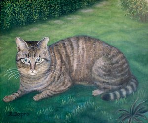 Kedi Julia