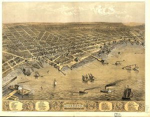 Muskegon şehrinin kuşbakışı görünümü, Muskegon Co., Michigan 1868.
