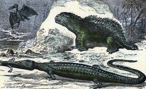 Prehistorya: Jura döneminden bir teleosaur (uzayan ağız) ve bir hyleosaur temsili” (Tarih Öncesi, Jurassic: teleosaurus ve hylaeosaurus) Rengade 1881 Özel koleksiyonu “” Nature and Man”den gravür