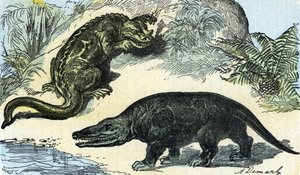 Tarih Öncesi: Kretase döneminden bir iguanodon ve megalosaurun temsili