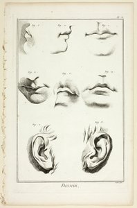 Tasarım: Encyclopédie