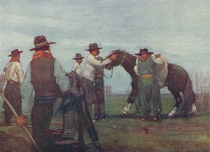 Gauchos