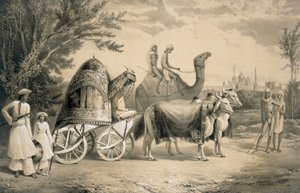 Delhi Kralı Harem Arabası, 