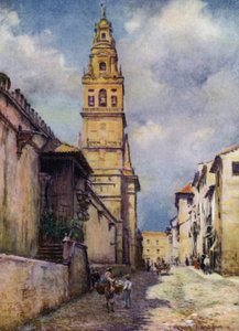 Cordova, Calle Cardinal Herrera (renkli taş) by A. Trevor Haddon