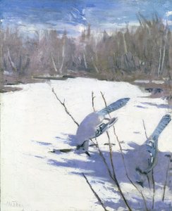Blue Jays in Winter, Animal Kingdom