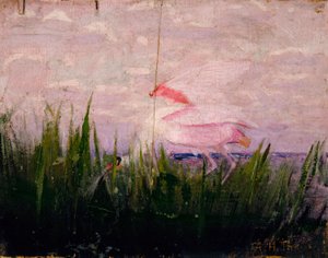 Roseate Spoonbill, Hayvanlar Aleminde Renk Gizleme kitabı için çalışma by Abbott Handerson Thayer