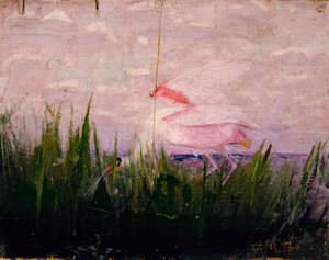 Roseate Spoonbill, Animal Kingdom