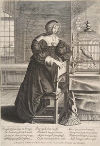 Papağan, 1620-76. by Abraham Bosse