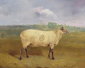 A Prize Ewe with monogram 