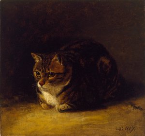 Bir Kedinin İncelenmesi, 1817 by Abraham Cooper