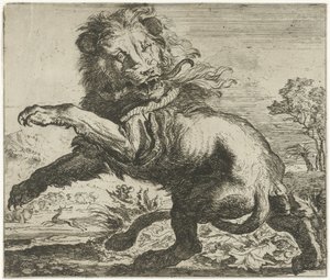 Aslan ve yılan dövüşü Farklı hayvanlar (dizi başlığı)