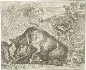 Yaban domuzu Farklı hayvanlar (dizi başlığı) by Abraham Danielsz. Hondius