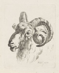 Ram