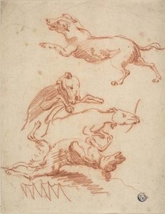 Romping Dogs Eskizleri