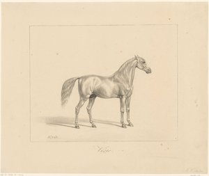 Arap Aygırı Vezir (nesne üzerindeki başlık) by Abraham Vinkeles