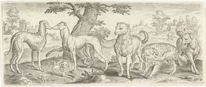 köpekler Hayvanlar (dizi adı)