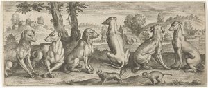 köpekler Hayvanlar (dizi adı)