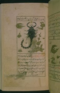 Zodyak takımyıldızları: Akrep, Akrep, Talim dar marifat i taqvuim, 1498 (903 Hijra) (mürekkep) by Abu Jafar al-Tabari
