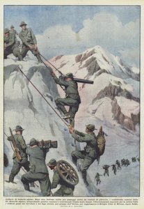 Alp pillerinin cüretkarlığı