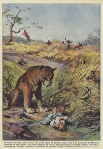 Afrika maceraları by Achille Beltrame