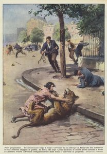 program dışı by Achille Beltrame
