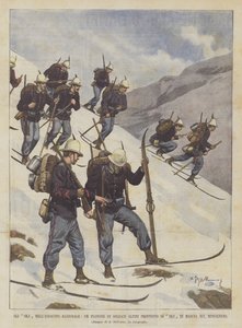 Ulusal Ordu