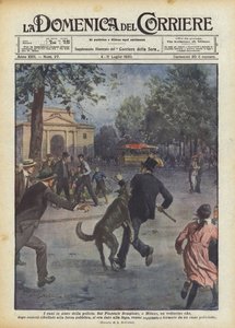 Köpekler polise yardım ediyor