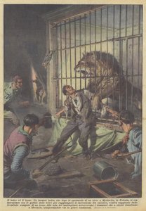 hırsız ve aslan