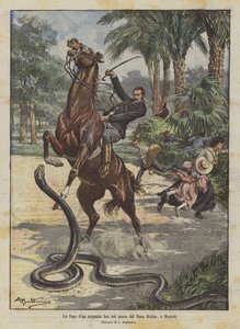 Boa yılanının Buen Retiro parkında Madrid