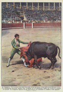 matador