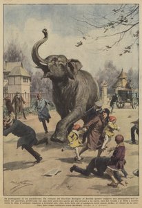 Pachyderm