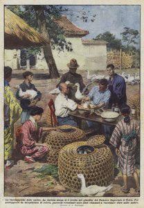 ördeklerin aşılanması by Achille Beltrame