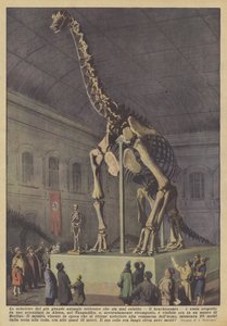 Yaşayan en büyük kara hayvanı olan brachiosaurus