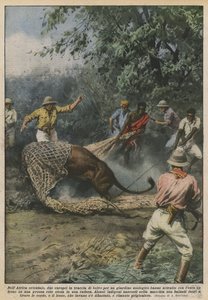 Doğu Afrika