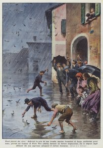Gökyüzünden balık! Açık denizde oluşturulmuş bir trompet tarafından havaya mı kaldırıldı? by Achille Beltrame