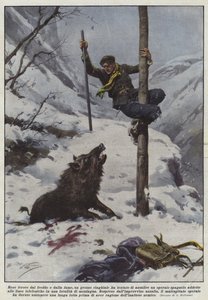 Soğuk ve açlıktan vahşileşen büyük bir yaban domuzu bir işçiye saldırmaya mı kalkıştı?