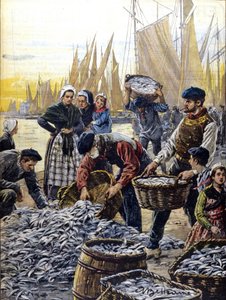 Achille Beltrame tarafından 1903 yılında Brittany'de sardalya balıkçılığı by Achille Beltrame