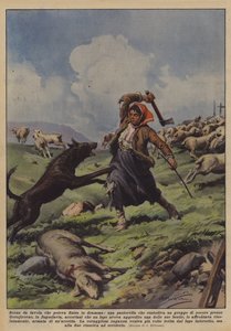 Bir koyun sürüsünü koruyan bir çobanın dramayla bitebilecek peri masalı sahnesi mi?