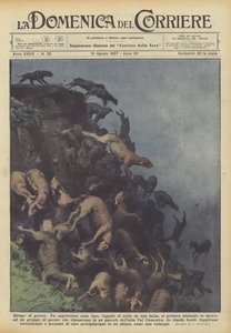 koyun kesimi by Achille Beltrame