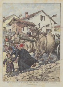 Mütevazı Kahramanlar, Küçük Bir Kızı Kurtaracak Bir Öğretmen, Brescia Yakınlarında Öfkeli İki Öküz Tarafından Öldürüldü