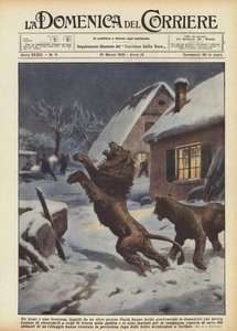 Gent yakınlarındaki bir sirkten kaçan aslan ve dişi aslan, terbiyeciyi kim ağır yaraladı?