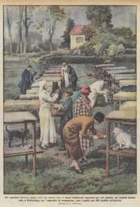 Diğerlerinden farklı bir hastane by Achille Beltrame