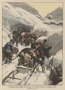 Pireneler