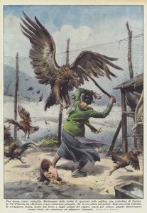 Bir kartala karşı bir kadın by Achille Beltrame