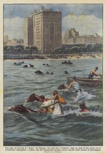 Chicago Rodeo