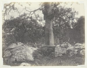 Orman ve Kayalar, Fontainebleau by Achille Quinet