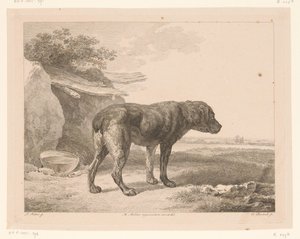 Bir manzara içinde duran köpek Hollandalı ustaların tablolarından sonra hayvanlar (serinin adı) Différens animaux mezarları d