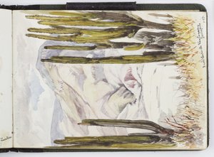 Suluboya Eskiz Defteri, Çizimler ve Notlar, Meksika, 1896-1898 (suluboya) by Adela Breton