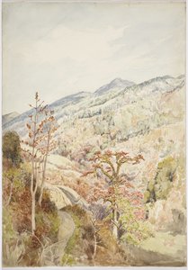 Ormanlık vadi- Cuetzalan, Puebla, Meksika Körfezi (suluboya ve grafit) by Adela Breton